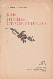 Как Птицы Строят Гнезда
