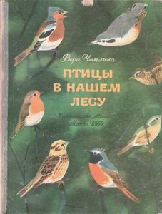 Птицы В Нашем Лесу