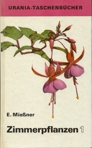 Zimmerpflanzen 1