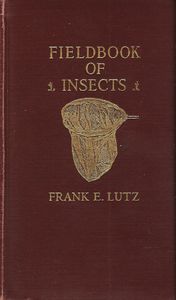 Fieldbook of Insects