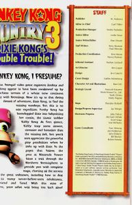Donkey Kong Country 3: Dixie Kong's Double Trouble (Official Nintendo Player's Guide)
