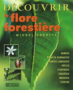 Découvrir la flore forestière