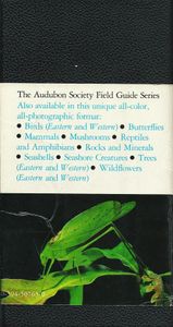 The Audubon Field Guide To North American Insects & Spiders