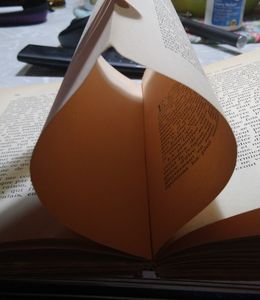 Les Pages Immorteles De Descartes