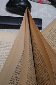Les Pages Immorteles De Descartes