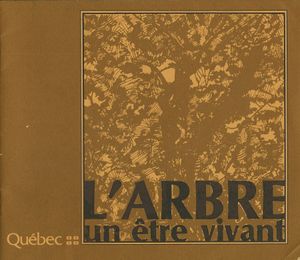 L'arbre, un être vivant