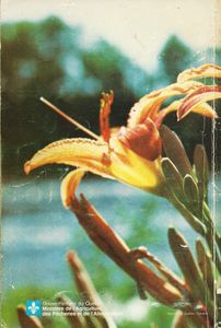 Guide du botaniste amateur