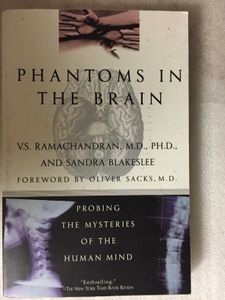 Phantoms In The Brain