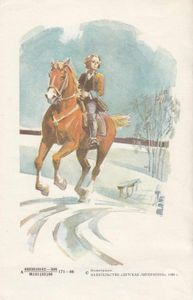 Рассказы о Суворове