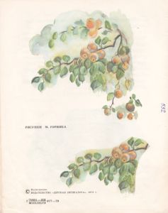 Горячий камень