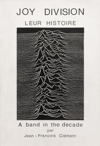 Joy Division, "A Band On The Decade", Leur Histoire