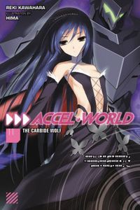 Accel World 11 - The Carbide Wolf