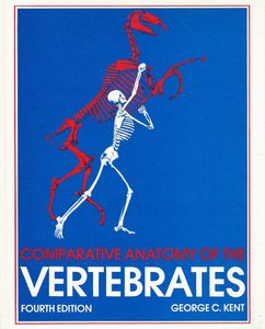 Comparative Anatomy of the Vertebrates, Fourth Edition