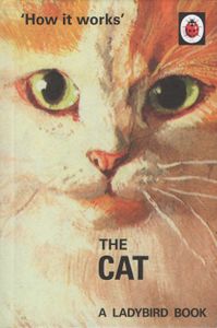 How It Works: The Cat