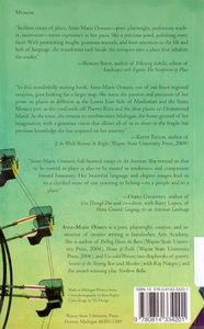 An American Map (Essays by Anne-Marie Oomen)