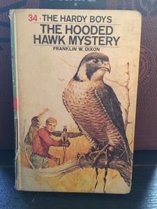 The Hooded Hawk Mystery
