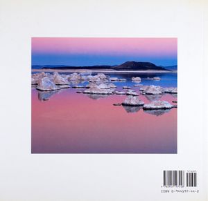 Mono Lake (Mirror of Imagination)
