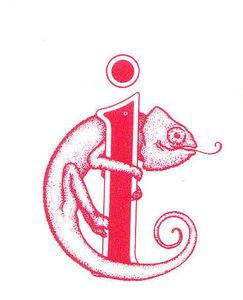 Chameleon International Ltd
