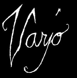 Varjo