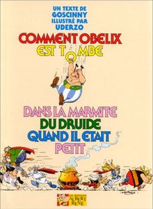 Comment Obélix Est Tombé Dans La Marmite Du Druide Quand Il Était Petit
