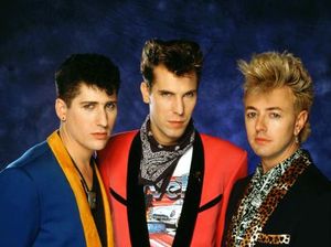 Stray Cats