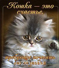 Кошка - Это Счастье, Требующее Почесать Его За Ушком