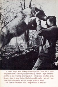 The Custer Wolf (Biography of an American Renegade)