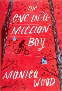 The One-in-a-Million Boy