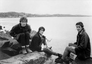 The Verlaines