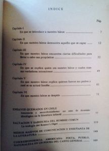 La Última Aventura Del Llanero Solitario