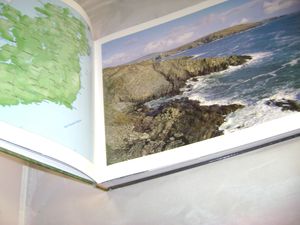 Ireland: A Panoramic Vision
