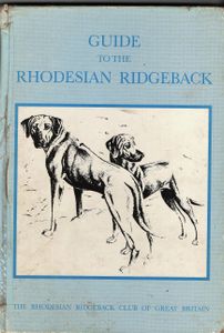 Guide to the Rhodesian Ridgeback