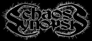 Chaos Synopsis