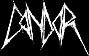 Condor (2)