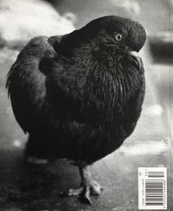 Hamburger Eyes - The Continuing Story Of Life On Earth - Issue 009