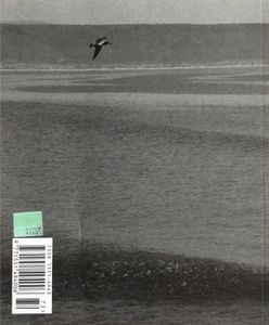 Hamburger Eyes - The Continuing Story Of Life On Earth - Issue 012