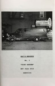 Ray's Reports No. 3 "Rose Garden", NYC June 2016