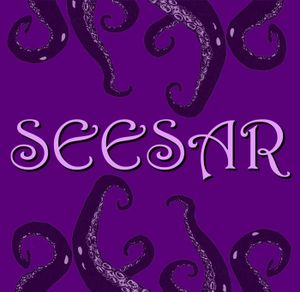 Seesar