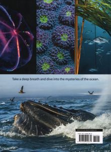 Blue Planet II