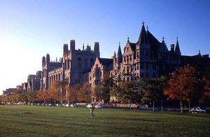 The University of Chicago
