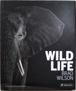 Wild Life