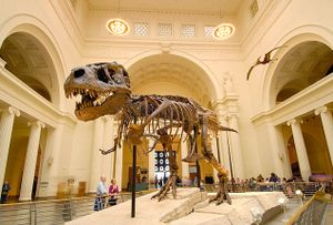 Museum