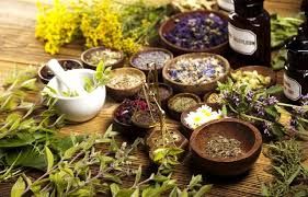 Herbal Medicine