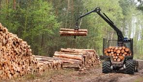 Logging