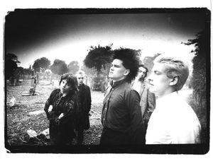 Virgin Prunes