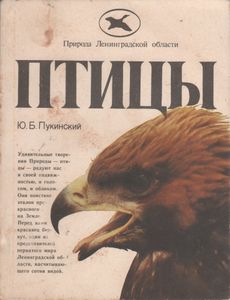Птицы