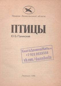 Птицы