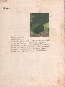 Птицы