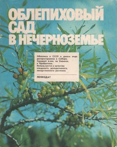 Облепиховый Сад В Нечерноземье