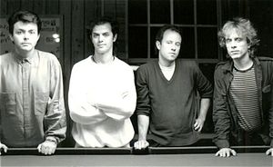 The Bongos